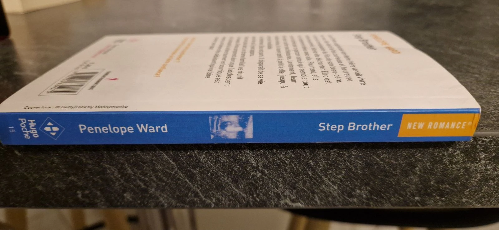 Step Brother Book – photo 3